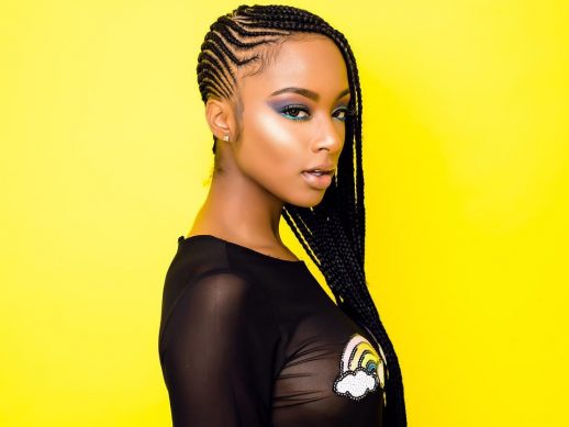Box Braid Hairstyles 12